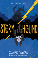 cover-storm hound